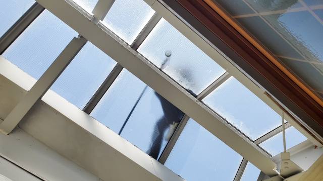 雨漏り調査